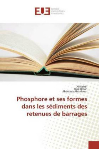 Kniha Phosphore et ses formes dans les sédiments des retenues de barrages Ali Dehbi