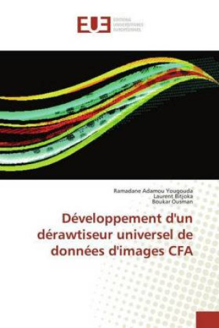 Книга Developpement d'un derawtiseur universel de donnees d'images CFA Ramadane Adamou Yougouda