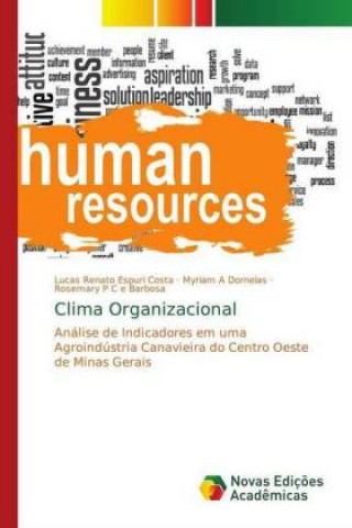 Buch Clima Organizacional Lucas Renato Espuri Costa