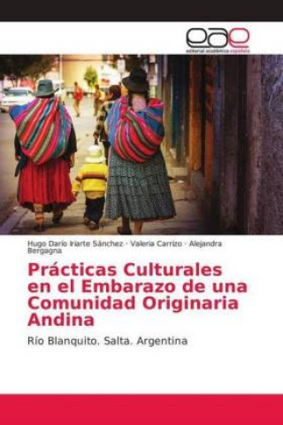 Könyv Practicas Culturales en el Embarazo de una Comunidad Originaria Andina Hugo Darío Iriarte Sánchez