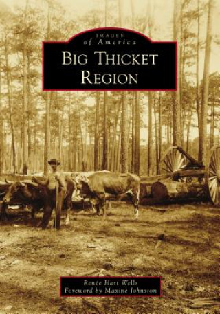 Carte Big Thicket Region Renee Hart Wells