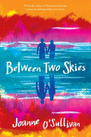 Könyv Between Two Skies Joanne O'Sullivan