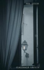 Dimineata Tarzie: Versuri