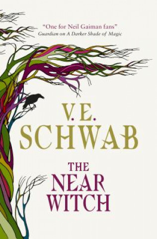 Kniha Near Witch V. E. Schwab