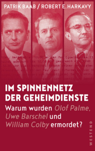 Книга Im Spinnennetz der Geheimdienste Patrik Baab