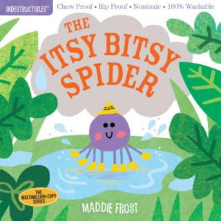 Könyv Indestructibles: Itsy Bitsy Spider Maddie Frost