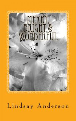 Kniha Merry, Bright,& Wonderful: A Beverly Black Novel Lindsay Anderson