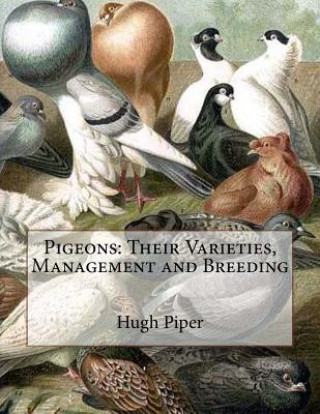 Könyv Pigeons: Their Varieties, Management and Breeding Hugh Piper