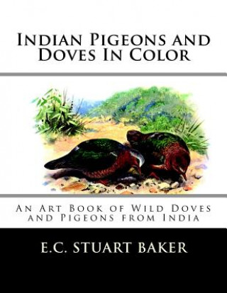 Kniha Indian Pigeons and Doves In Color: An Art Book of Wild Doves and Pigeons from India E C Stuart Baker