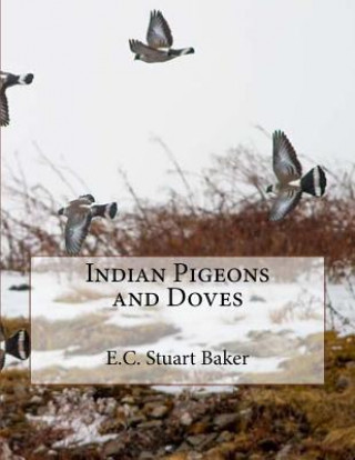 Carte Indian Pigeons and Doves E C Stuart Baker