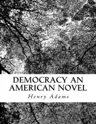 Carte Democracy an American Novel Henry Adams