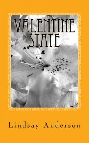 Kniha Valentine State: A Beverly Black Novel Lindsay Anderson