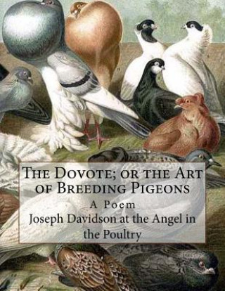 Книга The Dovote; or the Art of Breeding Pigeons: A Poem Joseph Davi At the Angel in the Poultry