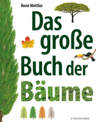 Kniha Das große Buch der Bäume René Mettler