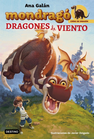 Buch DRAGONES DE VIENTO ANA GALAN