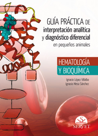 Könyv Guia practica de interpretacion analitica y diagnostico IGNACIO LOPEZ