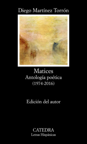 Buch MATICES DIEGO MARTINEZ TORRON