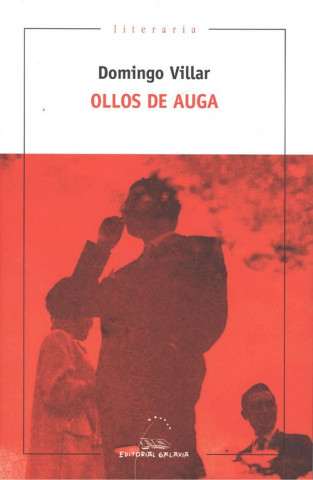 Kniha OLLOS DE AUGA DOMINGO VILLAR