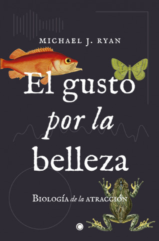 Kniha EL GUSTO POR LA BELLEZA MICHAEL RYAN