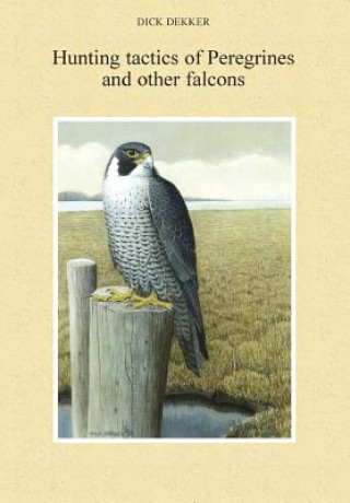 Kniha Hunting Tactics of Peregrines and other Falcons Dick Dekker