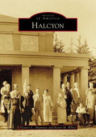 Βιβλίο Halcyon Eleanor L. Shumway