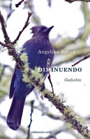 Buch Diminuendo Angelika Arend