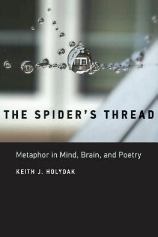 Książka Spider's Thread Holyoak