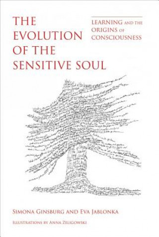 Carte Evolution of the Sensitive Soul Simona Ginsburg
