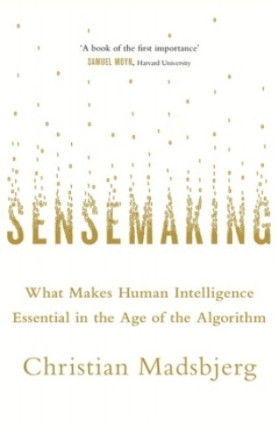Kniha Sensemaking Christian Madsbjerg