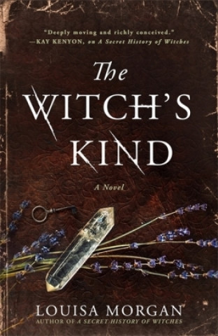 Книга Witch's Kind Louisa Morgan