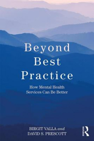 Buch Beyond Best Practice Birgit Valla