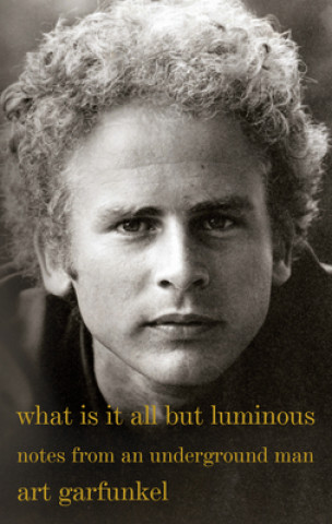 Könyv What Is It All but Luminous Art Garfunkel