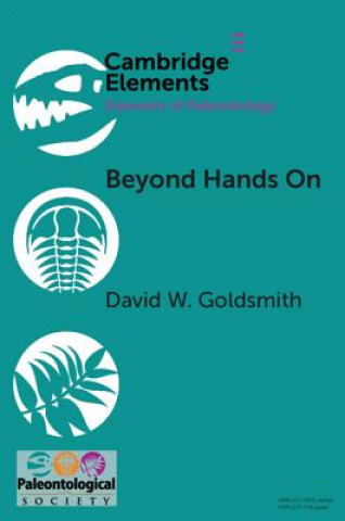 Könyv Beyond Hands On Goldsmith