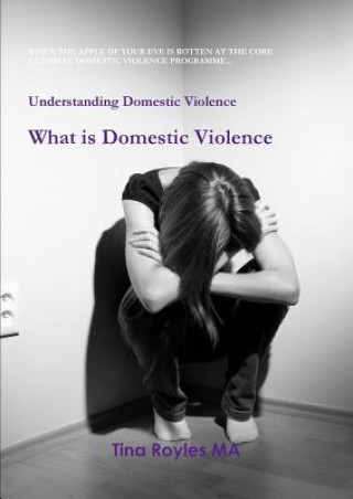 Book Understanding Domestic Violence TINA ROYLES