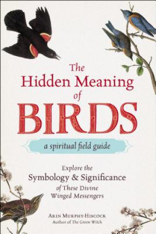 Könyv Hidden Meaning of Birds--A Spiritual Field Guide Arin Murphy-Hiscock
