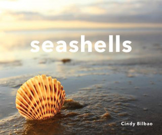 Buch Seashells Cindy Bilbao