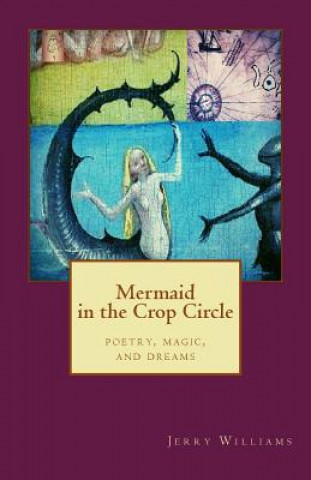 Книга Mermaid in the Crop Circle Jerry R Williams