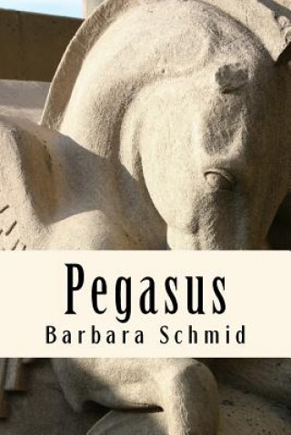 Libro Pegasus Barbara Schmid