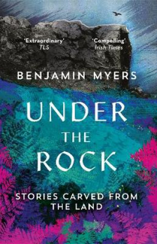 Buch Under the Rock MYERS BENJAMIN