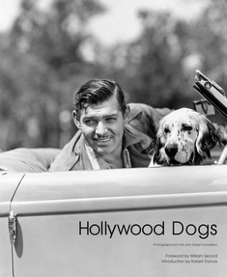 Carte Hollywood Dogs Abbott