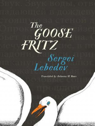 Kniha Goose Fritz Sergei Lebedev