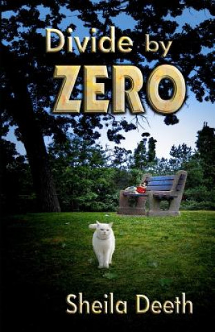Boek Divide by Zero Sheila Deeth