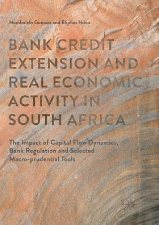 Kniha Bank Credit Extension and Real Economic Activity in South Africa NOMBULELO GUMATA