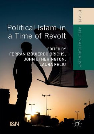 Kniha Political Islam in a Time of Revolt John Etherington