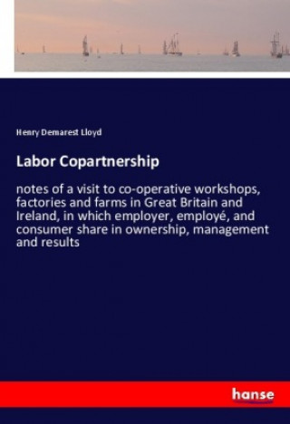 Kniha Labor Copartnership Henry Demarest Lloyd