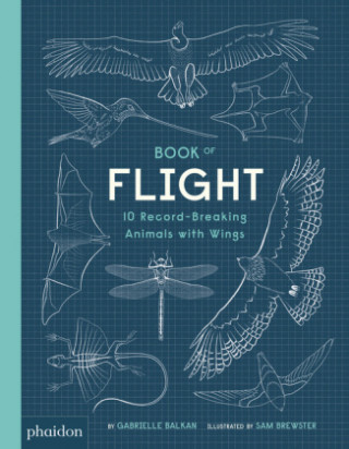 Kniha Book of Flight Gabrielle Balkan