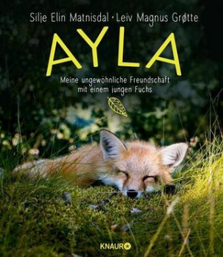 Buch Ayla - meine ungewöhnliche Freundschaft mit einem jungen Fuchs Silje Elin Matnisdal