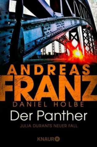 Kniha Der Panther Andreas Franz
