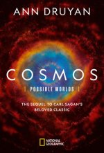 Könyv Cosmos Possible Worlds Ann Druyan