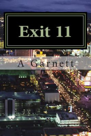 Knjiga The Saga of Ace: Exit 11 A Garnett
